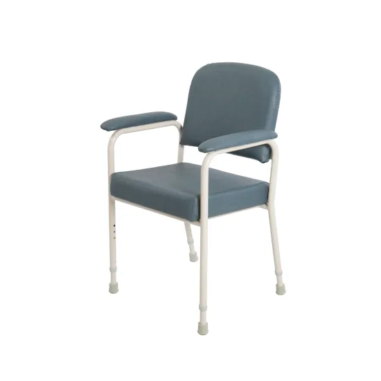 Aspire Low Back Day Chair champagne