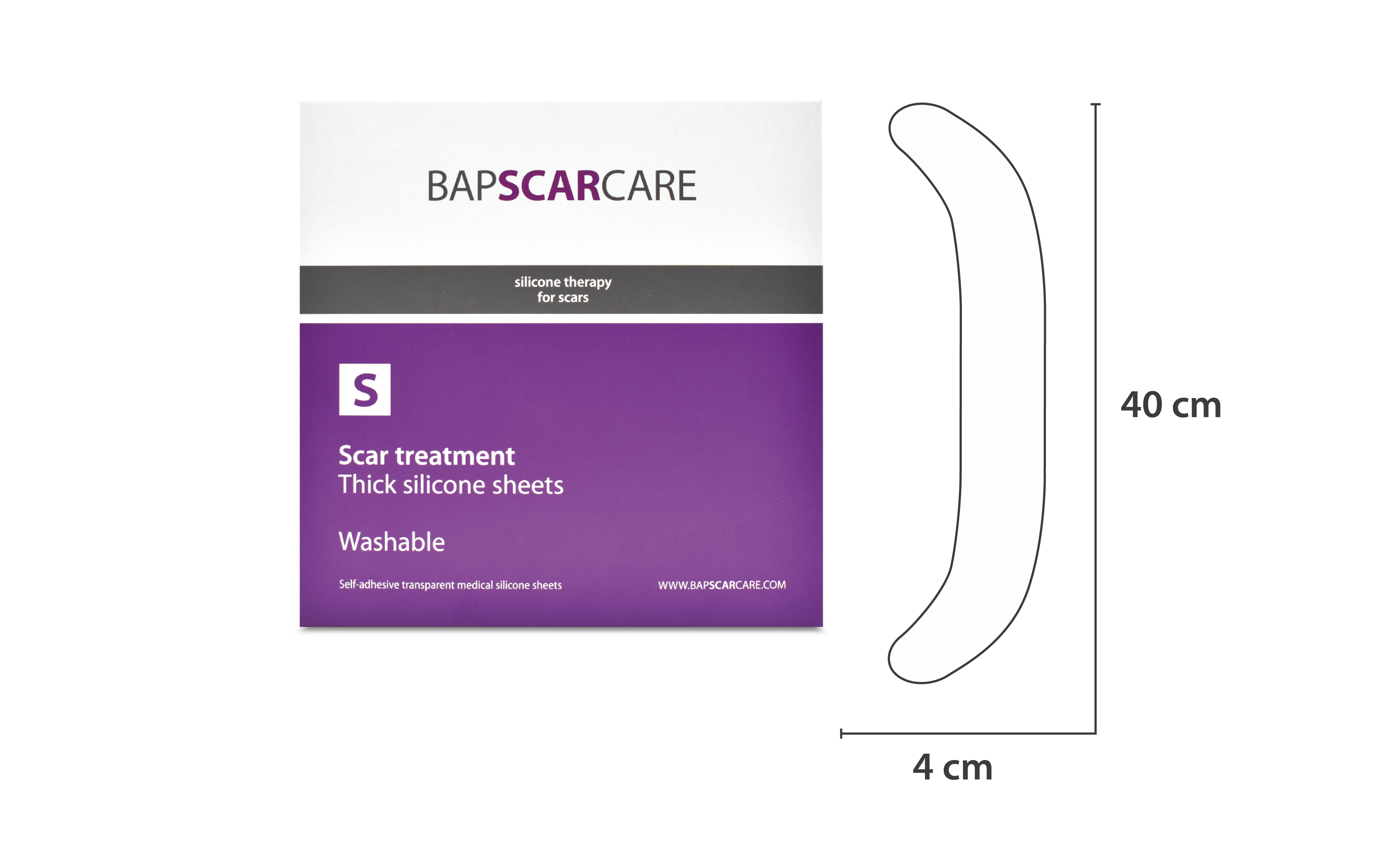 BSC S abdomen transparant