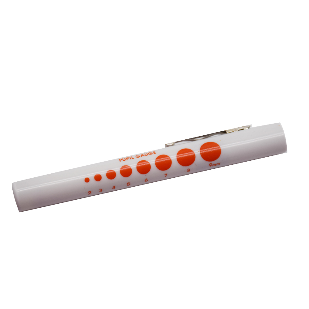 Torch Pen single